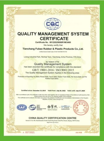 ISO9001 certificate from Tianchang Wenyang Crafts Co., Ltd.