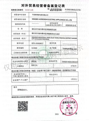 License Photo certificate from Ningbo Aodesen Electric Appliance Co., Ltd.