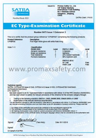 Green Nitrile Glove CE Certificate certificate from Promax Safety Co., Ltd.
