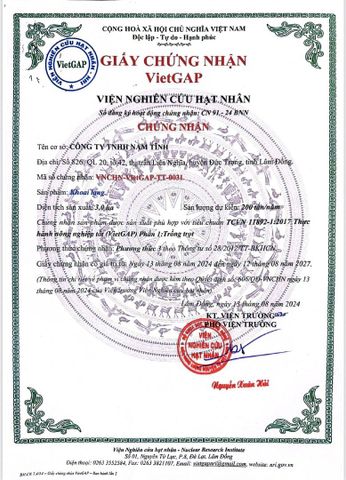 ISO certificate from Nam Tinh Co.,ltd