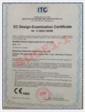 SDCE1-1 certificate from SHANGHAI REYOUNGEL MEDICAL TECHNOLOGY COMPANY LIMITED