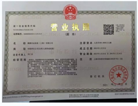 Enterprise certification certificate from Tengteng Transmission System (Shanghai) Co., Ltd.