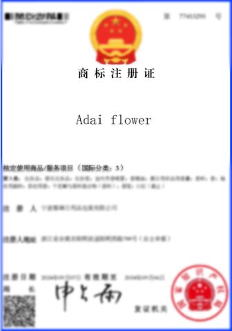 Trademark Registration Certificate certificate from Ningbo Yadai Cosmetics Co., Ltd.