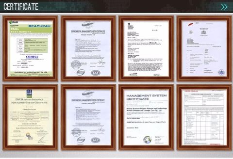 Certificate certificate from Qingdao Qizhou Rubber Co., Ltd.