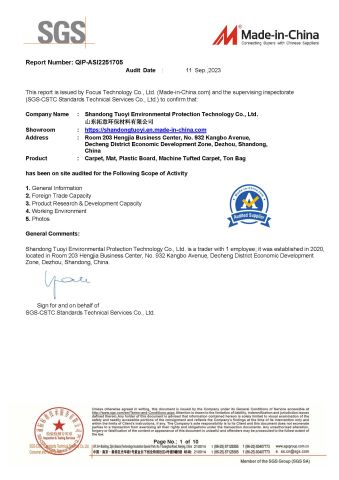 Audit report certificate from Shandong Tuoyi Environmental Protection Materials Co., Ltd.