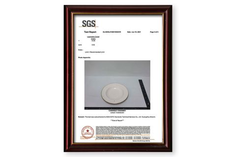 SGS Verify Certificate certificate from Foshan Ron Hospitality Supplies Co., Ltd.