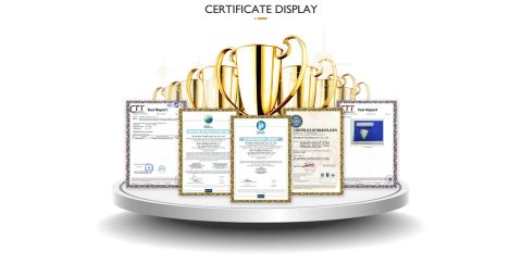 Certificate certificate from Shenzhen Dingsheng Toys Co., Ltd.