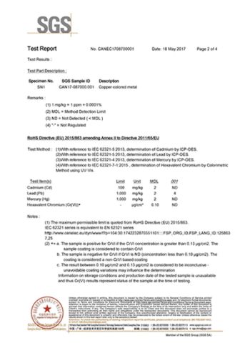 SGS certificate from Hebei Meshtech Technology Co.,LTD