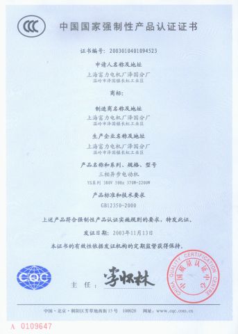 3C Certificate 01 certificate from Shanghai Bixuan Electrical Machinery Equipment Co., Ltd.