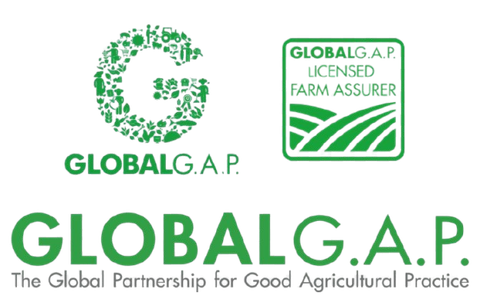 global gap certificate from MADA TRADE CO.