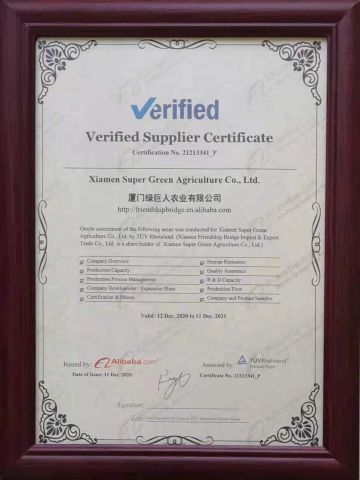 Our company's certification certificate from Xiamen Friendship Bridge Co., Ltd.