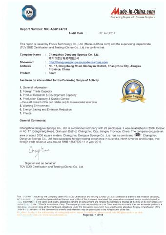 TUV of company certificate from Changzhou Dengyue Polymer Group Co., Ltd.