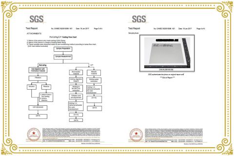 SGS-2 certificate from Shenzhen Tsingbuy Industry Company Limited