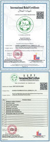 HALAL Malaysia certificate from Jining Mingcheng International Trade Co., Ltd