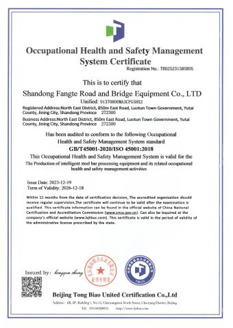 Occupational Health and Safety Management System Certification Certificate certificate from Shandong Fangte Road and Bridge Equipment Co., Ltd.