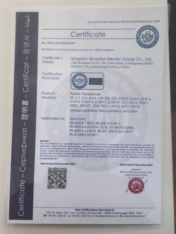 CE certificate from Qingdao Qingdian Electric Group Co., Ltd.