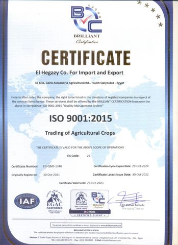  ISO 9001 certificate from El-higaze group