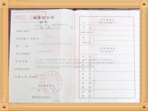GOV Tax No. certificate of Cangzhou Dixin Roll Forming Machine Co., Ltd. – certificate photo, supplier certificates section