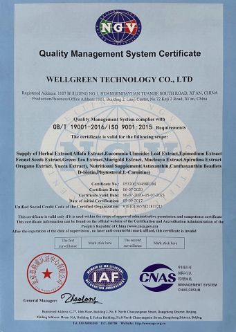 ISO 9001 certificate of Wellgreen Technology Co., Ltd – certificate photo, supplier certificates section