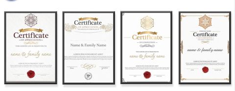 certificate certificate from Inner Mongolia Ousun Import&Export Co, . Ltd