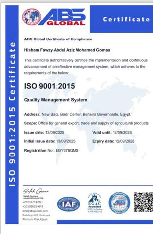 ISO certificate of Hisham Fawzy Group (HFG) – certificate photo, supplier certificates section