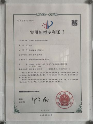 Valve mouth paper bag paper tape insertion transmission device certificate from Enping Desheng Intelligent Technology Co., Ltd