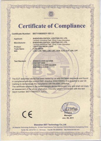 LED Neon EMC certificate from Shenzhen Enrich Lighting Co., Ltd.