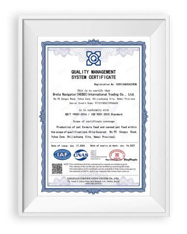 ISO 9001 certificate from Breta Navigator (Hebei) International Trading Co., Ltd