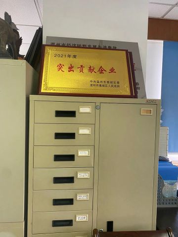 Honour certificate of Wenzhou TRADE-STAR Co., Ltd. – certificate photo, supplier certificates section