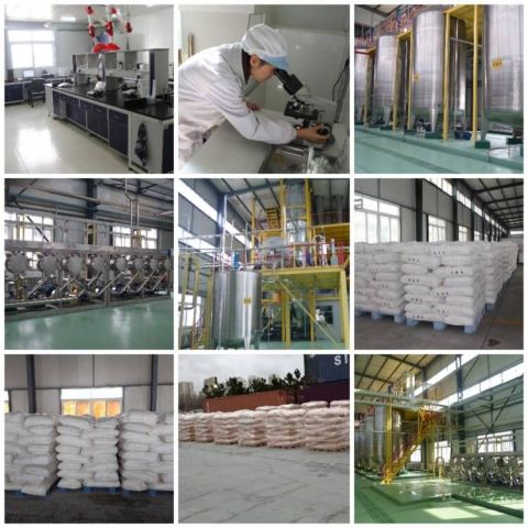 Company Shots certificate from Allright GC (Jinan) Biotechnology Ltd.