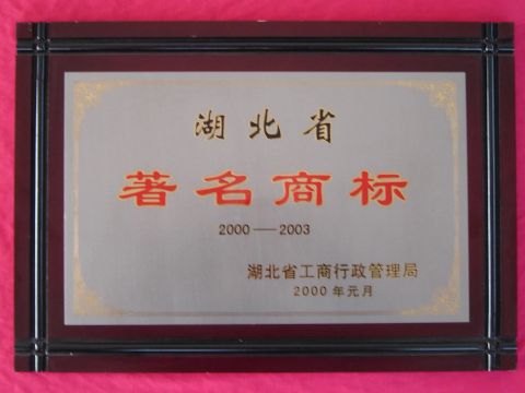 Certificate certificate from HUBEI TRI-RING MOTOR CO., LTD.