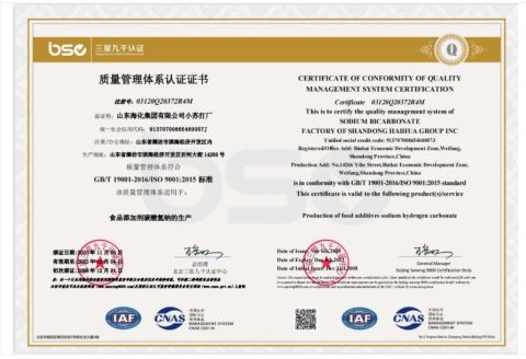 sodium bicarbonate ISO9001 certificate of Shandong Yifengtuo Chemical Co., Ltd. – certificate photo, supplier certificates section