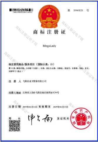 Trademark Registration Certificate certificate from Yiyang Mega Trade Co., Ltd