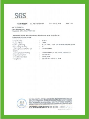 SGS certificate from Tianchang Wenyang Crafts Co., Ltd.