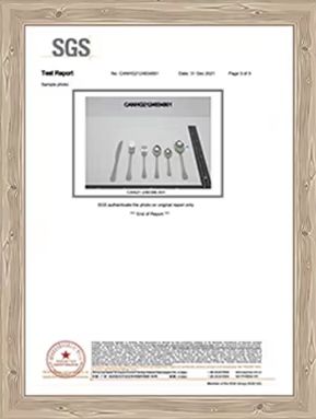 SGS certificate from Changsha Chengtong Technology Co., Ltd.