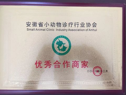 Excellent Partner-Small Animal Clinic Industry Association OF Anhui certificate from Shanghai Pujia Metal Manufacturing Co., Ltd.
