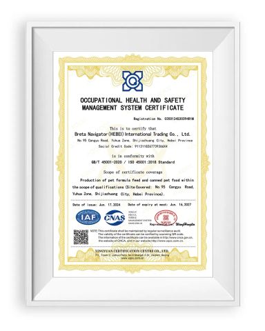 ISO 45001 certificate from Breta Navigator (Hebei) International Trading Co., Ltd