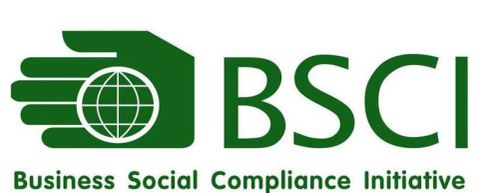 BSCI certificate from Hangzhou Special Clean Technology Co., Ltd.