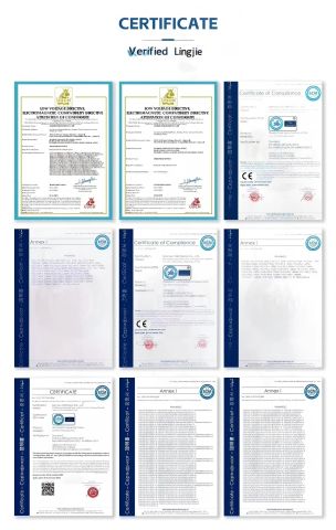 001 certificate from Lingjie Gearmotor (Hangzhou) Co., Ltd.