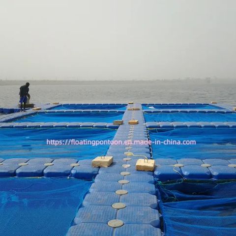 Modular Fish Farming HDPE Modular Fish Farming Cage Trademark No Color Orange Material HDPE ...