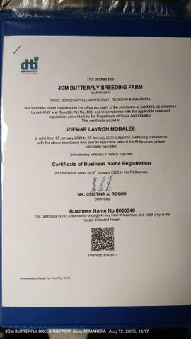 DTI certificate from JCM BUTTERFLY BREEDING FARM