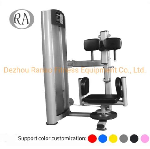 Commercial Fitness Equipment Sport Goods Strength Equipment Torso ...