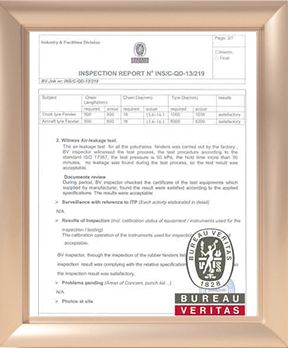 BV (Bureau Veritas) certificate from Qingdao Jerryborg Marine Machinery Co., Ltd