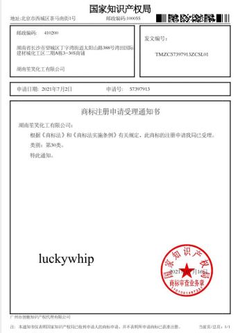 The trademark certificate from Hunan Shengxiao Technology Co., Ltd.