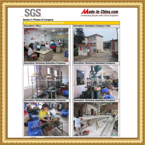 SGS of factory certificate certificate from Guangdong Songtao Co., Ltd.