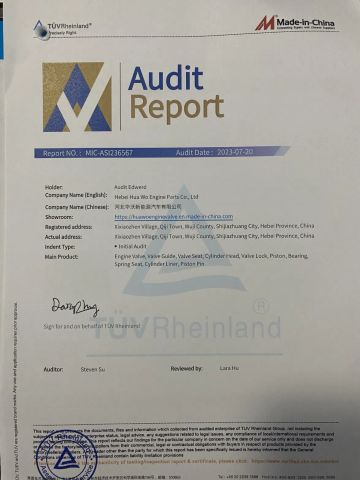 TUV Certificate certificate from Hebei Hua Wo Engine Parts Co., Ltd