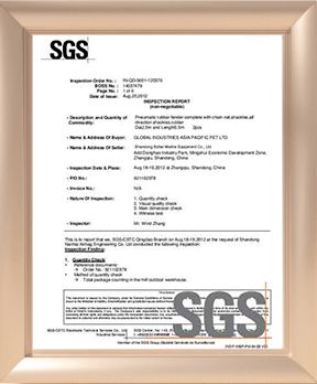 SGS certificate from Qingdao Jerryborg Marine Machinery Co., Ltd