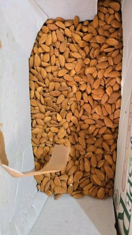 AGRO MAKI PLUS DOOEL STR NARODEN FRONT N - Freshdi