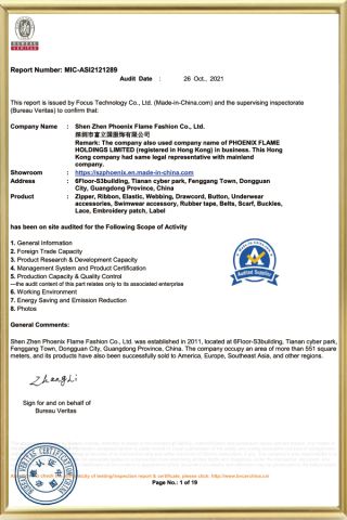 MIC-ASI2121289-Phoenix flame certificate from Phoenix Flame Holdings Limited