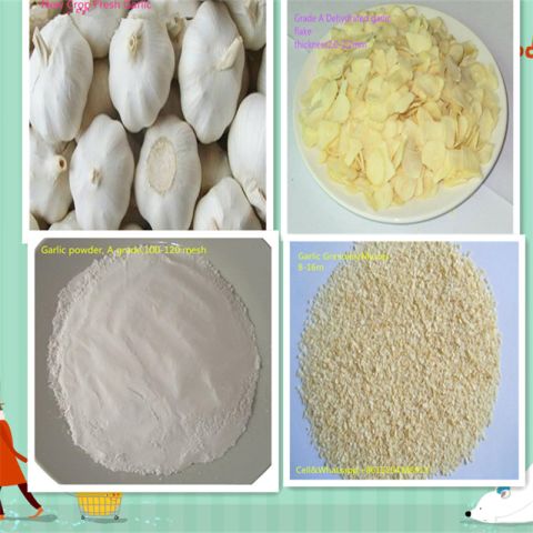 dehydrated garlic certificate from JINAN BRIGHT SUNSHINE IMP.& EXP. CO., LTD.